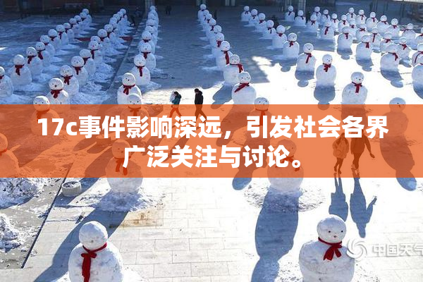 17c事件影响深远，引发社会各界广泛关注与讨论。