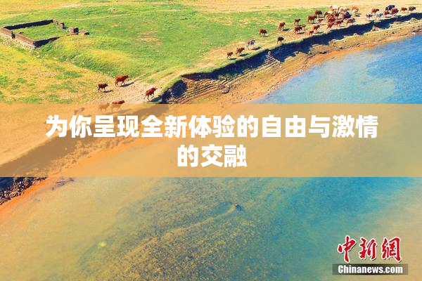 为你呈现全新体验的自由与激情的交融