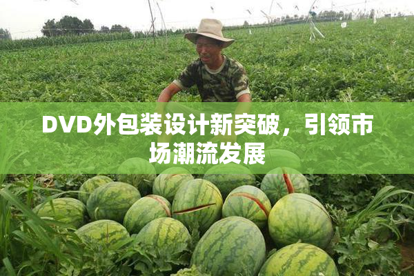 DVD外包装设计新突破，引领市场潮流发展
