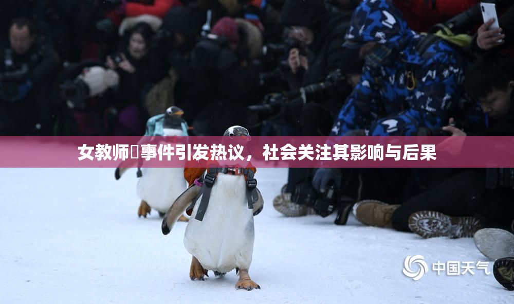 女教师婬事件引发热议，社会关注其影响与后果