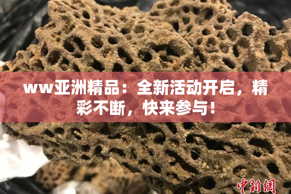 ww亚洲精品：全新活动开启，精彩不断，快来参与！