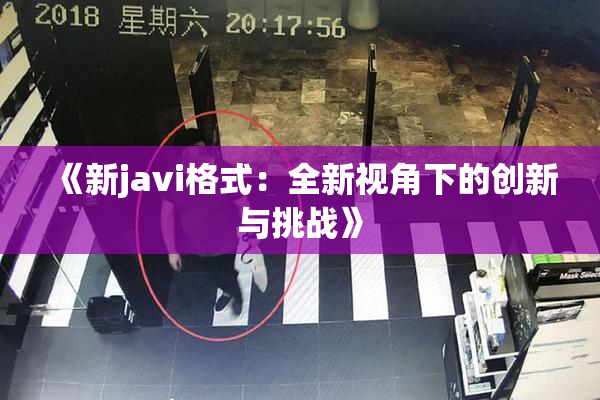 《新javi格式：全新视角下的创新与挑战》