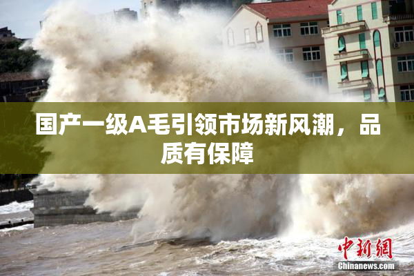 国产一级A毛引领市场新风潮，品质有保障