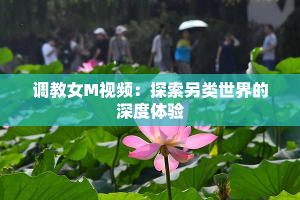 调教女M视频：探索另类世界的深度体验