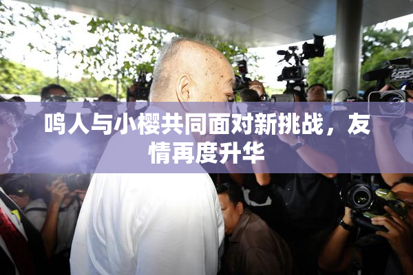 鸣人与小樱共同面对新挑战，友情再度升华