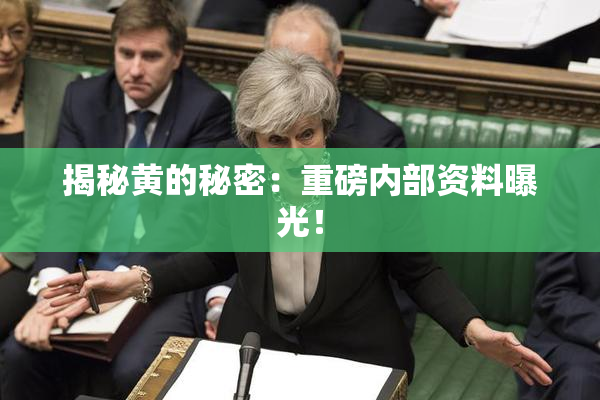 揭秘黄的秘密：重磅内部资料曝光！