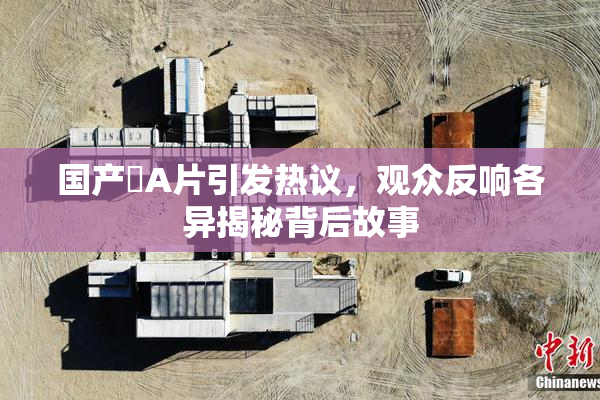 国产婬A片引发热议，观众反响各异揭秘背后故事