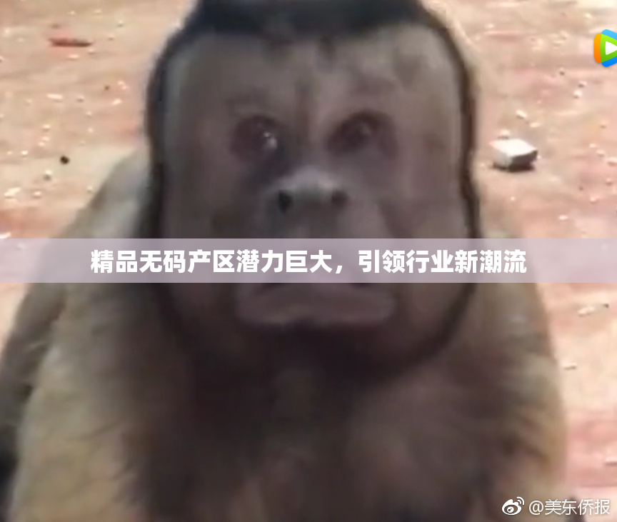 精品无码产区潜力巨大，引领行业新潮流