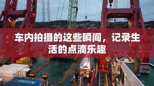 车内拍摄的这些瞬间，记录生活的点滴乐趣