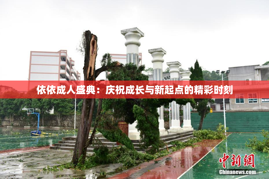 依依成人盛典：庆祝成长与新起点的精彩时刻