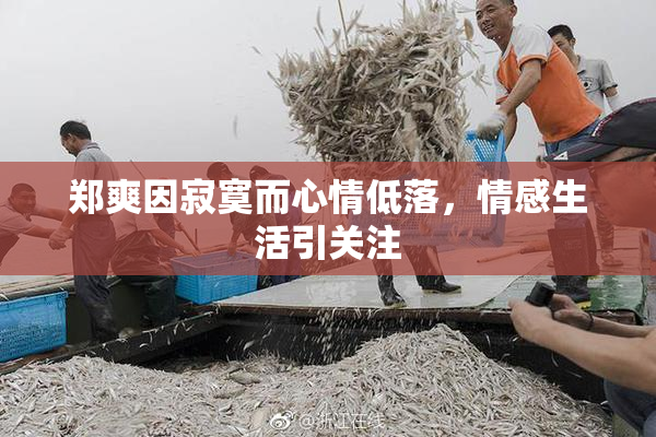 郑爽因寂寞而心情低落，情感生活引关注