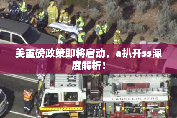 美重磅政策即将启动，a扒开ss深度解析！
