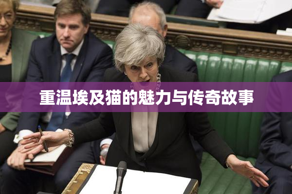 重温埃及猫的魅力与传奇故事