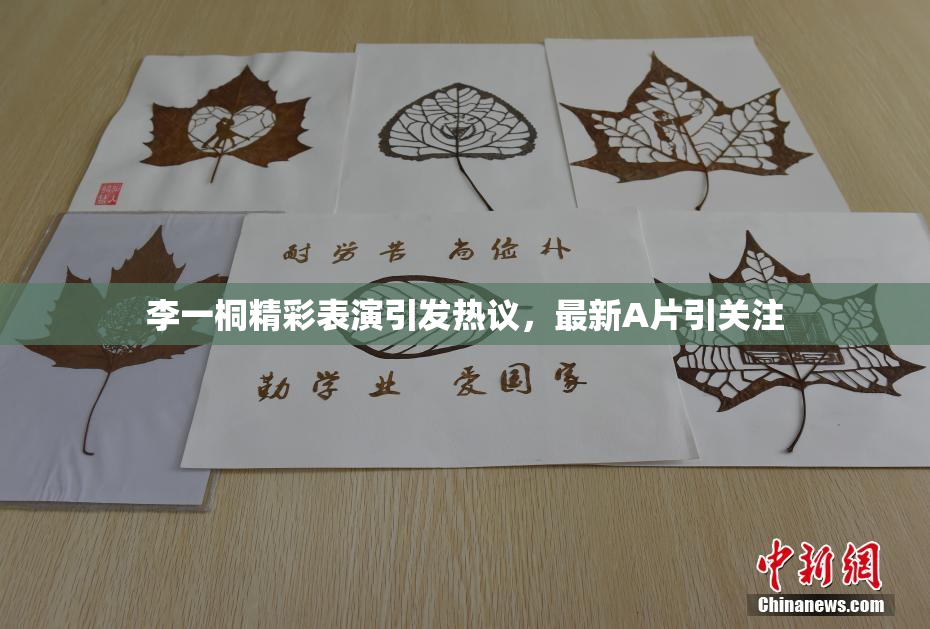 李一桐精彩表演引发热议，最新A片引关注