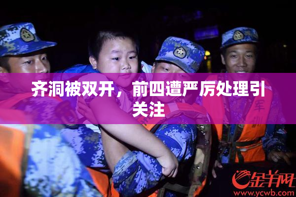 齐洞被双开，前四遭严厉处理引关注