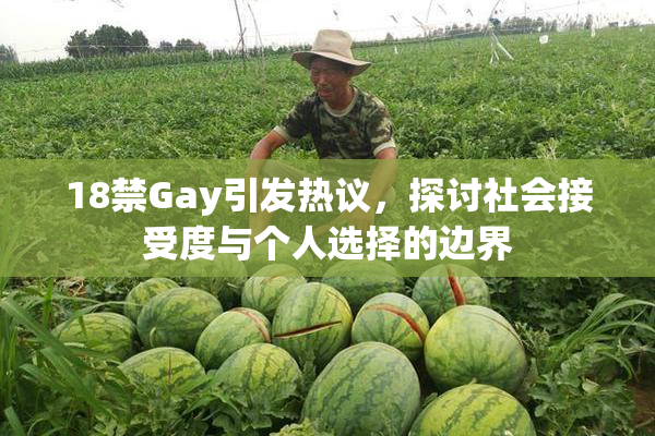 18禁Gay引发热议，探讨社会接受度与个人选择的边界