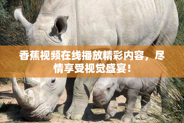 香蕉视频在线播放精彩内容，尽情享受视觉盛宴！