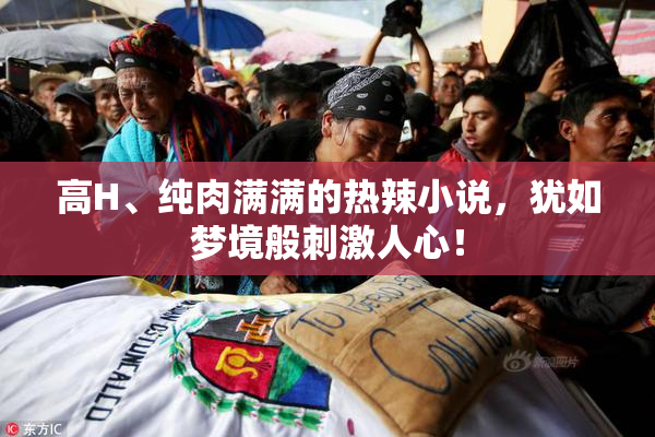 高H、纯肉满满的热辣小说，犹如梦境般刺激人心！