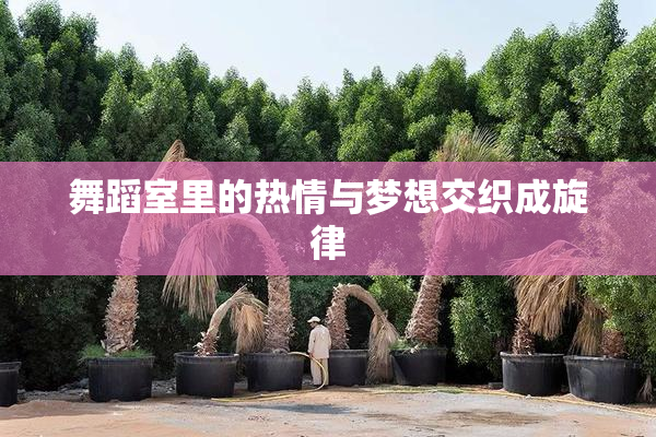 舞蹈室里的热情与梦想交织成旋律