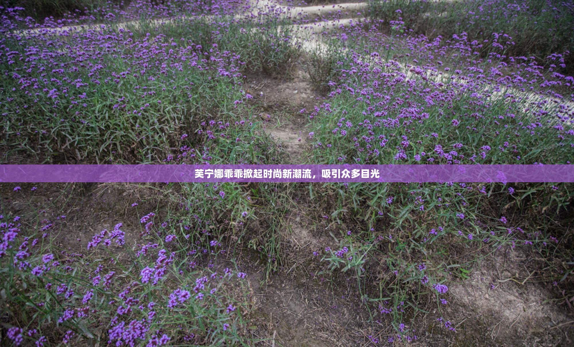 芙宁娜乖乖掀起时尚新潮流，吸引众多目光