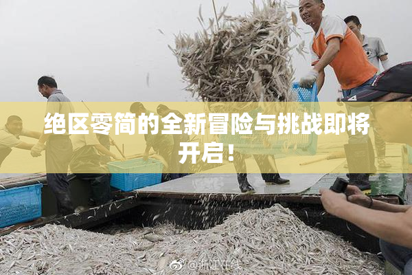 绝区零简的全新冒险与挑战即将开启！