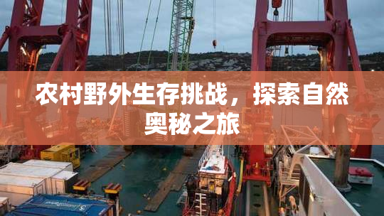 农村野外生存挑战，探索自然奥秘之旅