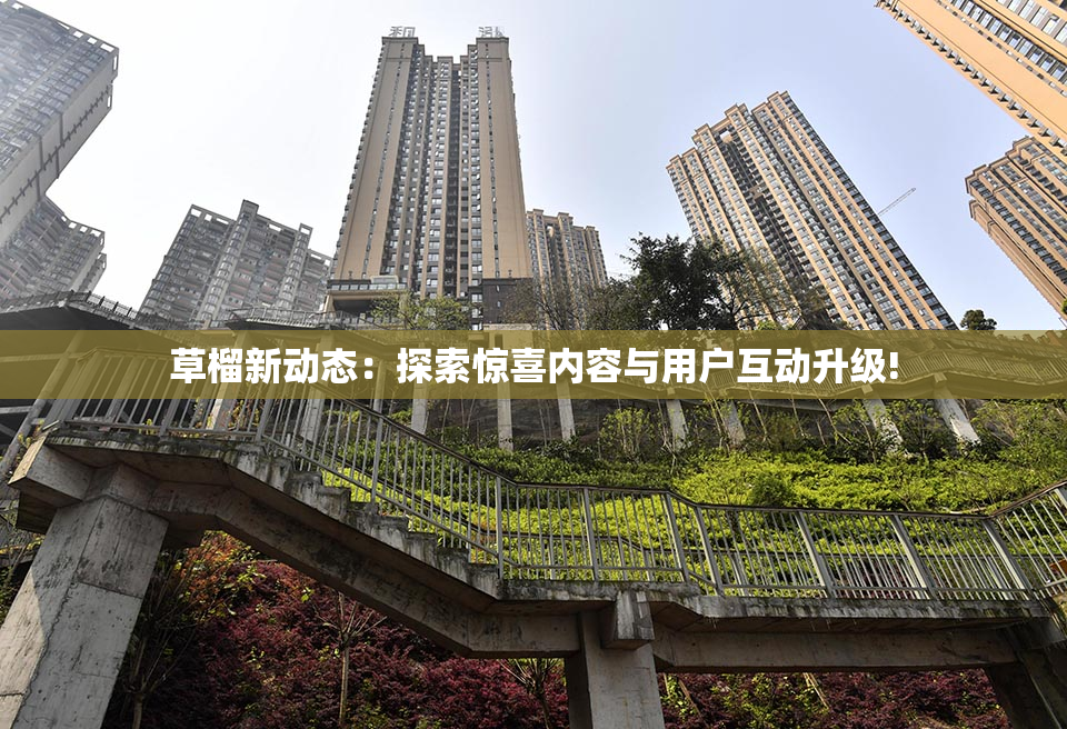 草榴新动态：探索惊喜内容与用户互动升级!