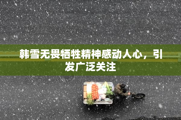韩雪无畏牺牲精神感动人心，引发广泛关注