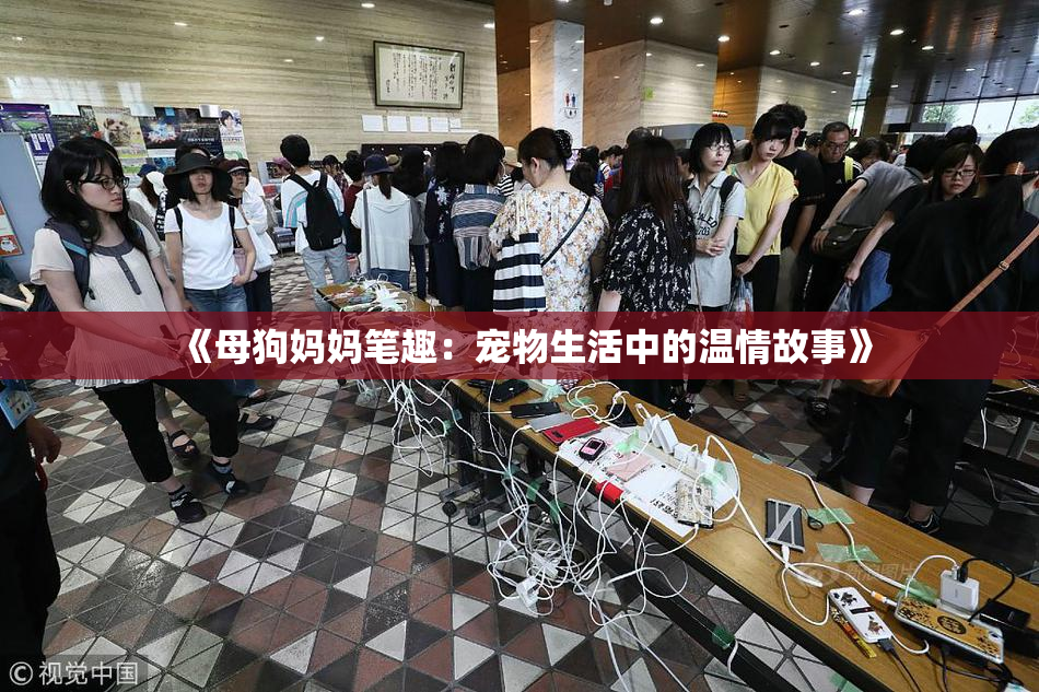 《母狗妈妈笔趣：宠物生活中的温情故事》