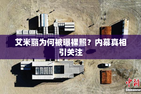 艾米丽为何被曝裸照？内幕真相引关注