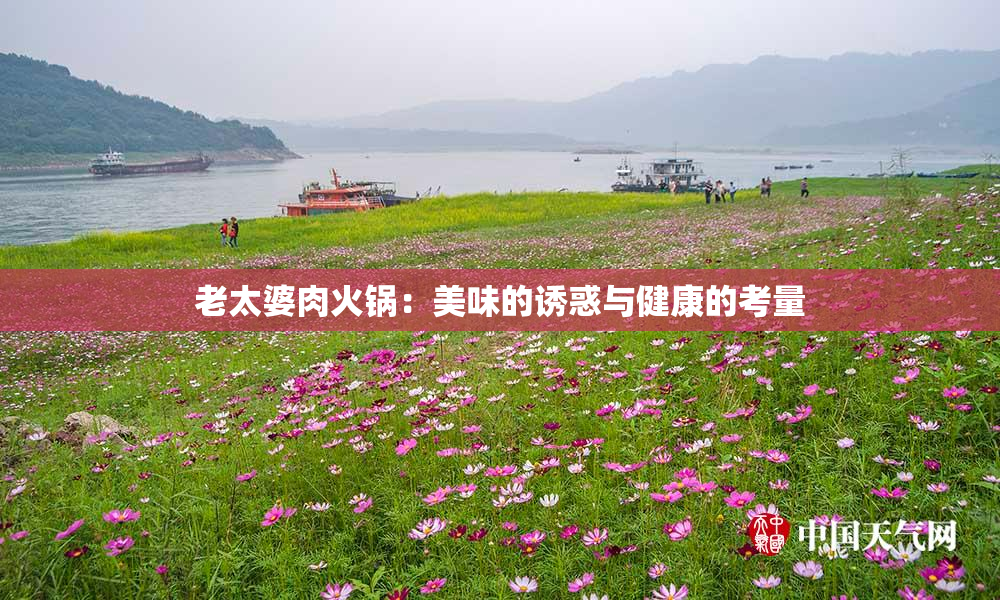 老太婆肉火锅：美味的诱惑与健康的考量