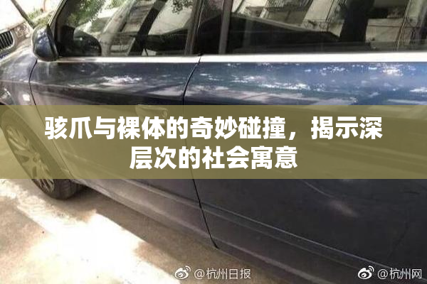 骇爪与裸体的奇妙碰撞，揭示深层次的社会寓意