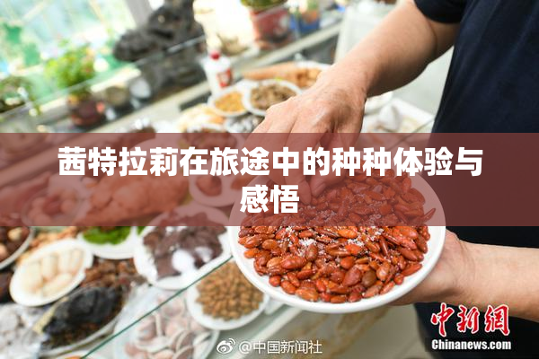 茜特拉莉在旅途中的种种体验与感悟