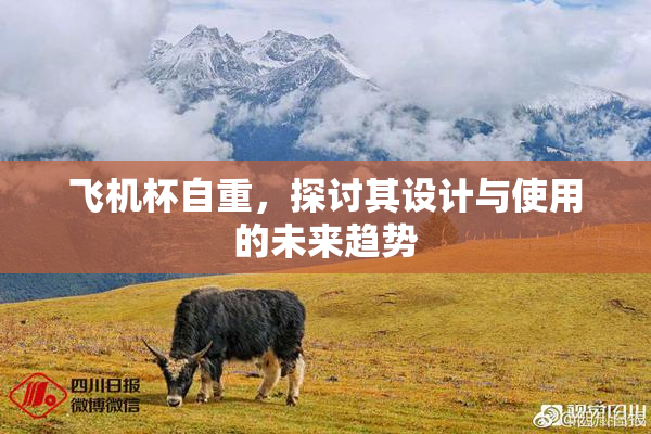 飞机杯自重，探讨其设计与使用的未来趋势