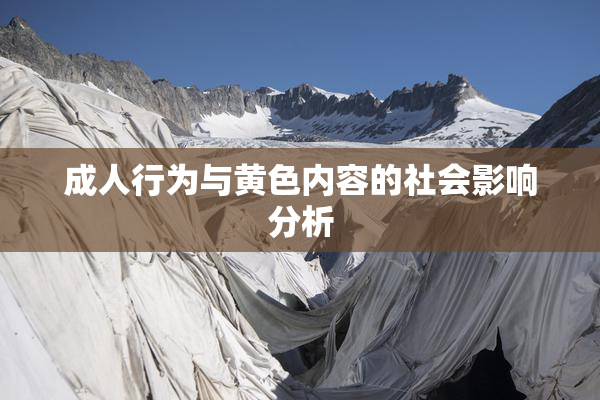 成人行为与黄色内容的社会影响分析