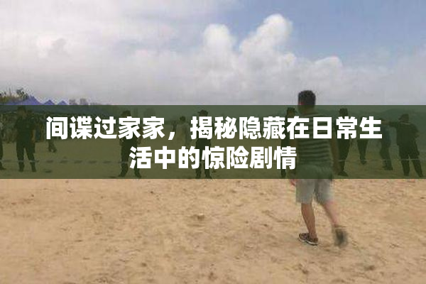 间谍过家家，揭秘隐藏在日常生活中的惊险剧情