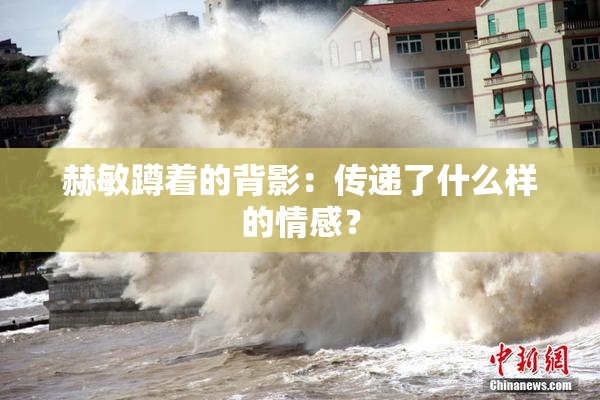 赫敏蹲着的背影：传递了什么样的情感？
