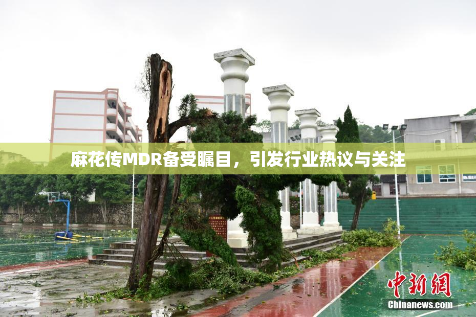 麻花传MDR备受瞩目，引发行业热议与关注