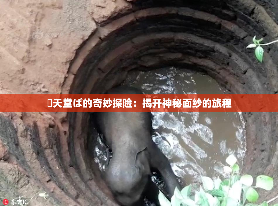 妺天堂ぱ的奇妙探险：揭开神秘面纱的旅程