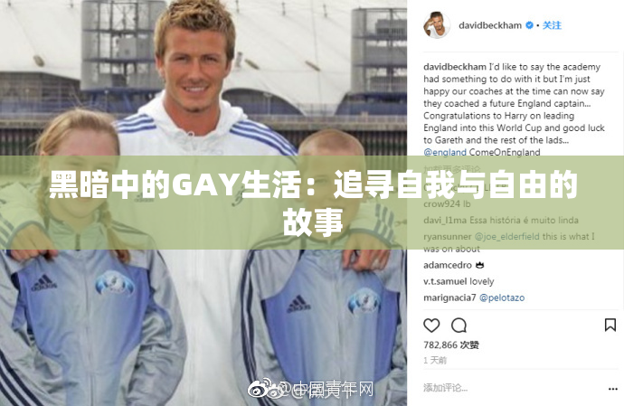 黑暗中的GAY生活：追寻自我与自由的故事