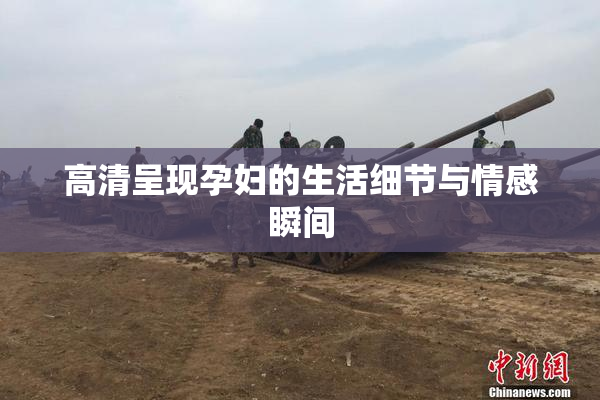 高清呈现孕妇的生活细节与情感瞬间