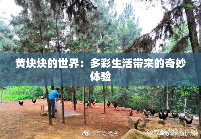 黄块块的世界：多彩生活带来的奇妙体验