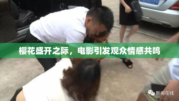 樱花盛开之际，电影引发观众情感共鸣