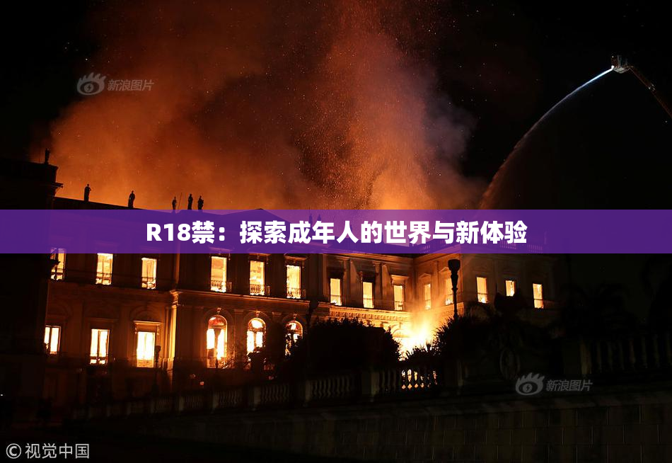 R18禁：探索成年人的世界与新体验