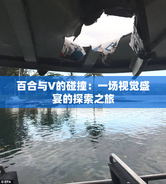 百合与V的碰撞：一场视觉盛宴的探索之旅