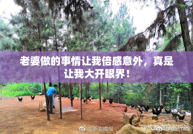 老婆做的事情让我倍感意外，真是让我大开眼界！