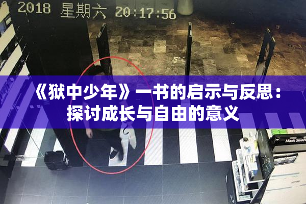 《狱中少年》一书的启示与反思：探讨成长与自由的意义