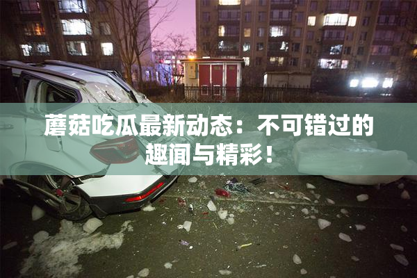 蘑菇吃瓜最新动态：不可错过的趣闻与精彩！