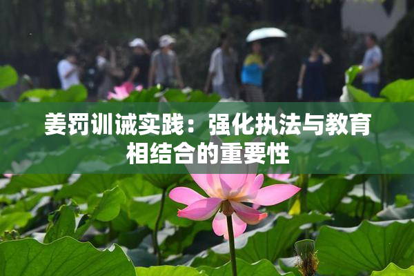 姜罚训诫实践：强化执法与教育相结合的重要性