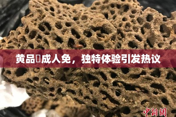 黄品匯成人免，独特体验引发热议